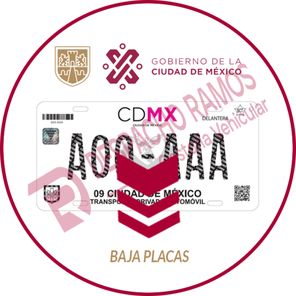 Baja De Vehículo De La Cdmx 2025