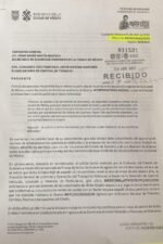 Permiso Provisional De Circulación De Guerrero 2026 - Image 2